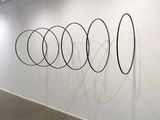 6 Ringe by Kai Richter contemporary artwork 2