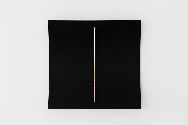 1.1 Resonance, vertical (black) by Germaine Kruip contemporary artwork