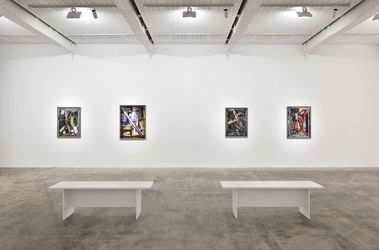 Exhibition view: Thomas Struth, Nature & Politics, Marian Goodman Gallery, Paris (25th May - 26th July 2024). Courtesy the artist & Marian Goodman Gallery. 