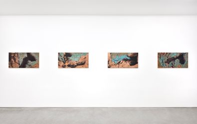 Exhibition view: Cristina Iglesias, Monotypes on Copper and Paper, Marian Goodman Gallery, Paris (6 April–13 May 2023). Courtesy Marian Goodman Gallery.