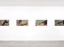 Contemporary art exhibition, Cristina Iglesias, Monotypes on Copper and Paper at Galerie Marian Goodman, Paris, France