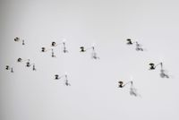 Ters yüz / Upside Down by Cengiz Tekin contemporary artwork sculpture, installation