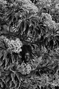Qhamukile, Phumelobala, Mauritius by Zanele Muholi contemporary artwork photography