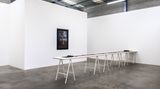Contemporary art exhibition, Anne Noble, a line between two trees at Jonathan Smart Gallery, Christchurch, New Zealand