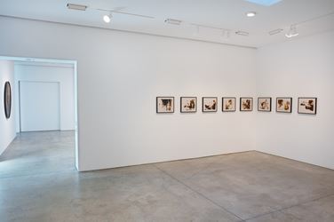 Exhibition view: Group Exhibition, American Landscape, Lehmann Maupin, New York (15 March–1 May 2018). Courtesy the artists and Lehmann Maupin. Photo: Matthew Herrmann.