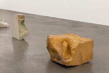 Exhibition view: Dorothy Cross, Veins of Other, Kerlin Gallery, Dublin (24 May–6 July 2024). Courtesy Kerlin Gallery.