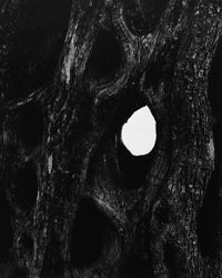 Olive Tree, Corfu 526 by Aaron Siskind contemporary artwork photography