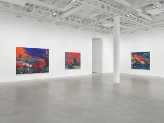 Contemporary art exhibition, Pierre Knop, Fireflies Under Fever Sky at Pilar Corrias, Conduit Street, United Kingdom