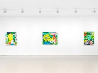 Exhibition view: Alexander Ross, Miles McEnery Gallery, 525 West 22nd Street, New York (8 September–15 October 2022). Courtesy Miles McEnery Gallery.