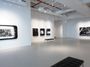 Contemporary art exhibition, Jane Lee, No Thing Is at Sundaram Tagore Gallery, New York, New York, United States