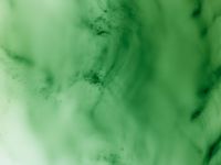 Greifbar 20 by Wolfgang Tillmans contemporary artwork works on paper, print