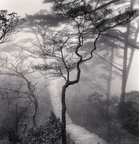 Huangshan Mountains Study 20, Anhui, China by Michael Kenna contemporary artwork photography