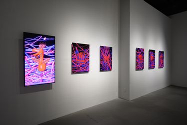 Exhibition view: Wu Chi-Yu and Chen Pu, Blurring Realities: Greenhouse and Beyond, TKG+, Taipei (2 March–20 April 2024). Courtesy TKG+, Taipei.
