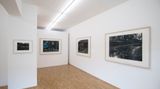 Contemporary art exhibition, Stefanie Hofer, Between the Arts and Nature at Boutwell Schabrowsky, Munich, Germany