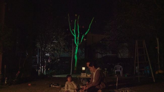 The Luminous Tree by Atsushi Yamamoto contemporary artwork