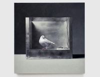 The Operant Conditioning Chamber #2 by Mat Collishaw contemporary artwork painting