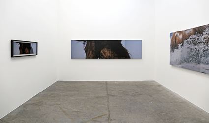 Nathan Pohio, In a Dream of 200,000 Horses, 2016.Exhibition view, Jonathan Smart Gallery, Christchurch. Courtesy Jonathan Smart Gallery, Christchurch.