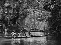 Fishing using timbó (Derris ellíptica), Pretão stream, Suruwahá Indigenous Territory, state of Amazonas, Brazil by Sebastião Salgado contemporary artwork photography