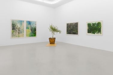 Exhibition view: Cole Sternberg, a forest of thoughts in quick succession, Praz-Delavallade, Los Angeles (21 October–2 December 2023). Courtesy Praz-Delavallade.