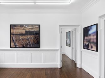 Exhibition view: Jean-Luc Mylayne, Mirror, Sprüth Magers, London (2 June–29 July 2023). Courtesy Sprüth Magers. Photo: Ben Westoby.