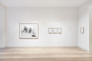Exhibition view: Peter Mathis, Flora Alpina, Galerie Albrecht, Berlin (27 January–2 March 2024). Courtesy Galerie Albrecht.
