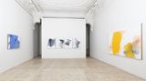 Contemporary art exhibition, Zhang Wei, Colours of Emotions at Galerie Krinzinger, Seilerstätte 16, Vienna, Austria