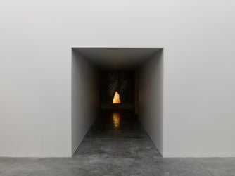 Exhibition view: Marguerite Humeau, White Cube, Bermondsey (5 April–21 May 2023). Courtesy White Cube.
