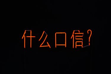 Joseph Kosuth, Nineteen Eighty-Four (Orwell) #1, [Chinese] (2018). Orange neon mounted directly on the wall. 21.3 x 80.5 cm. © Joseph Kosuth. Courtesy the Artist and Almine Rech.