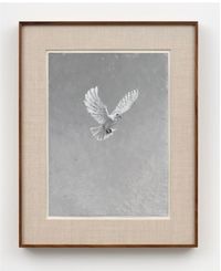 Bird by Daniel Crews-Chubb contemporary artwork painting
