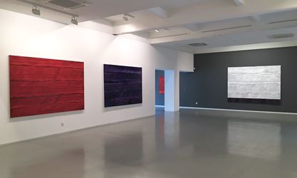 Exhibition view: Ricardo Mazal, Bhutan and Violet, Sundaram Tagore Gallery, Singapore (6 April–4 June 2017). Courtesy Sundaram Tagore Gallery.