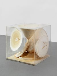 Object-Box / Plexiglas Box by Takesada Matsutani contemporary artwork mixed media