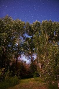 Night Sky (Meadow) by Ryan McGinley contemporary artwork photography