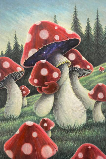 Space Mushroom by Jang Jongwan contemporary artwork