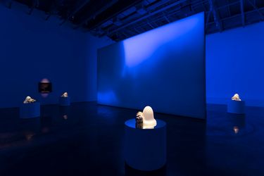 Exhibition view: Rachel Rose, Enclosure, Gladstone Gallery, West 21st Street, New York (14 January–26 February 2022). Courtesy Gladstone Gallery.