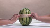 Watermelon by Steve Carr contemporary artwork 1