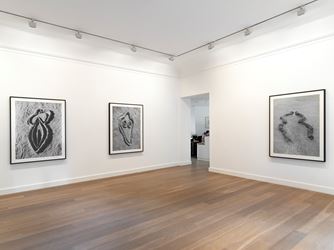 Exhibition view: Ana Mendieta, Cuba & Miami 1981-83, Galerie Lelong & Co., Paris (13 October–17 November 2018). Courtesy Galerie Lelong & Co. Photo: F. Gibert.