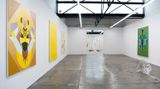Contemporary art exhibition, Mikala Dwyer, A Sun, A Flower, A Bee at 1301SW, Melbourne, Australia
