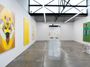 Contemporary art exhibition, Mikala Dwyer, A Sun, A Flower, A Bee at 1301SW, Melbourne, Australia
