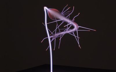 Martin Walde, Hallucigenia #6 YOGA (2015) (detail). Borosilikatglass, inert gas (neon, Xe). 200 x 100 x 80 cm. Courtesy Galerie Krinzinger.