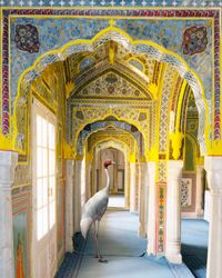 A Steadfast Friend, Zanana, Samode Palace by Karen Knorr contemporary artwork painting