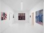 Contemporary art exhibition, Miranda Fengyuan Zhang, A World Without Us at Capsule Shanghai, China