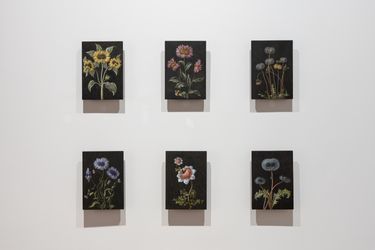 Exhibition view: Laurent Grasso, Future Herbarium, Perrotin, Shanghai (10 November 2020–16 January 2020). Courtesy the artist and Perrotin. Photo: Mengqi Bao.