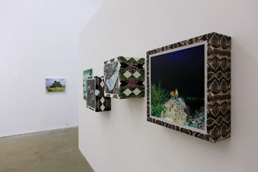 Exhibition view: Ma Wenting, To The Wild, A Thousand Plateaus Art Space, Chengdu (12 August–16 October 2018). Courtesy A Thousand Plateaus Art Space.