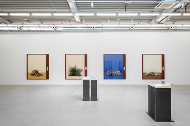 Taryn Simon, Paperwork and the Will of Capitol, 2016, Almine Rech Gallery, Brussels. Courtesy of the Artist and Almine Rech Gallery. Photos: Hugard & Vanoverschelde.