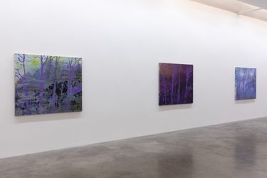 Exhibition view: Elizabeth Magill, Red Stars and Variations, Kerlin Gallery, Dublin (29 May–10 July 2021).  Courtesy Kerlin Gallery.