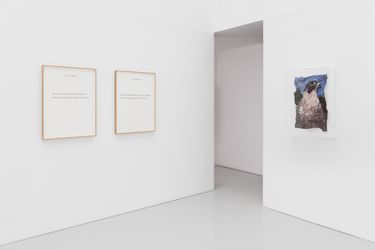 Exhibition view: Marcus Coates, Between Stories, Kate MacGarry, London (12 April–18 May 2024). Courtesy Kate MacGarry.