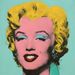 Andy Warhol Silkscreen Smashes Auction Records