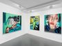 Contemporary art exhibition, Amanda Wall, Silvering at Almine Rech, Paris, Rue de Turenne, France