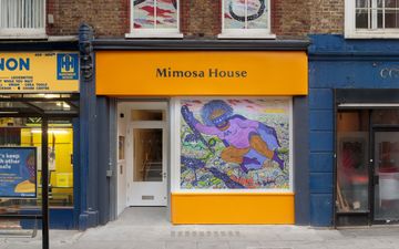 Mimosa House