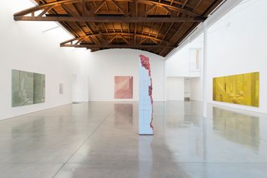 Exhibition view: Adriana Varejão, Interiors, Gagosian, Beverly Hills (14 September–25 October 2017). © Adriana Varejão. Courtesy Gagosian. Photo: Jeff McLane.